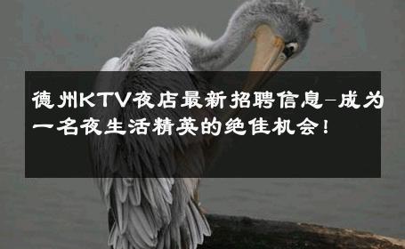 德州KTV夜店最新招聘信息-成为一名夜生活精英的绝佳机会！ 