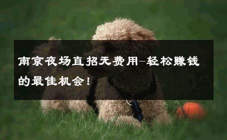 南京夜场直招无费用-轻松赚钱的最佳机会！ 