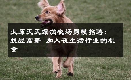 太原天天爆满夜场男模招聘：挑战高薪-加入夜生活行业的机会 