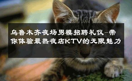乌鲁木齐夜场男模招聘礼仪-带你体验最热夜店KTV的无限魅力 