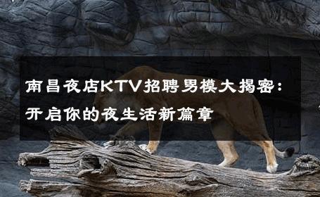 南昌夜店KTV招聘男模大揭密：开启你的夜生活新篇章 