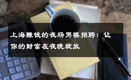 上海赚钱的夜场男模招聘：让你的财富在夜晚绽放 