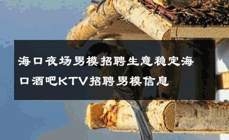 海口夜场男模招聘生意稳定海口酒吧KTV招聘男模信息 