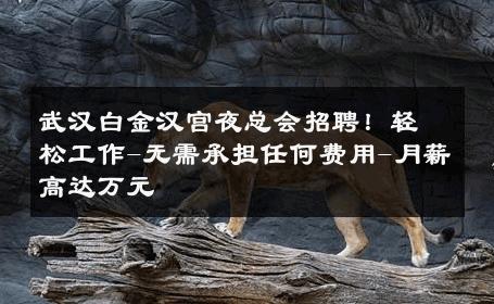 武汉白金汉宫夜总会招聘！轻松工作-无需承担任何费用-月薪高达万元 