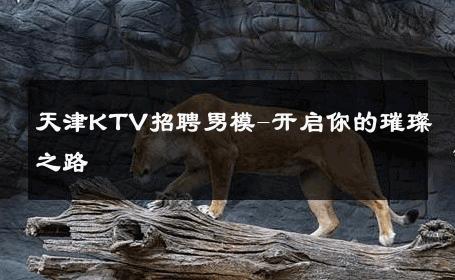 天津KTV招聘男模-开启你的璀璨之路 