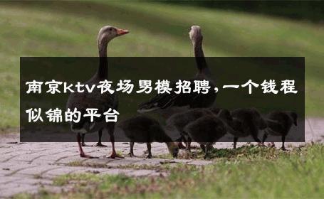 南京ktv夜场男模招聘,一个钱程似锦的平台 