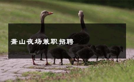 萧山夜场兼职招聘 