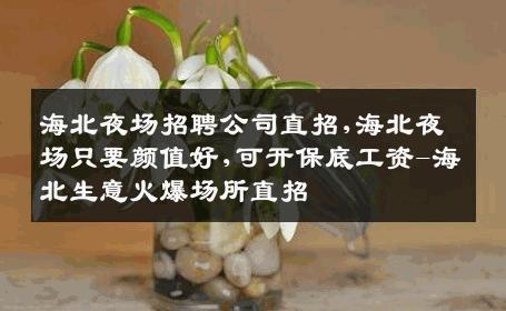 海北夜场招聘公司直招,海北夜场只要颜值好,可开保底工资-海北生意火爆场所直招