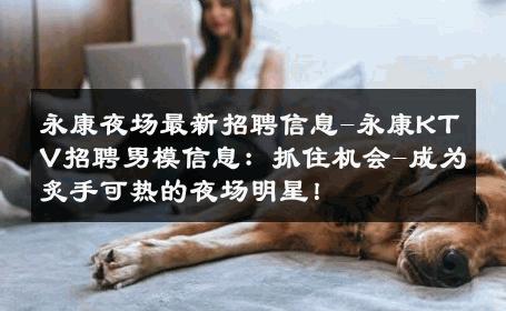 永康夜场最新招聘信息-永康KTV招聘男模信息：抓住机会-成为炙手可热的夜场明星！ 