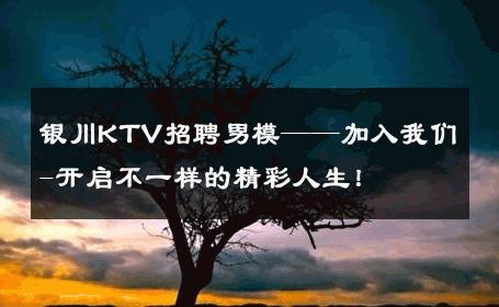 银川KTV招聘男模——加入我们-开启不一样的精彩人生！ 