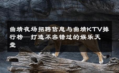 曲靖夜场招聘信息与曲靖KTV排行榜—打造不容错过的娱乐天堂