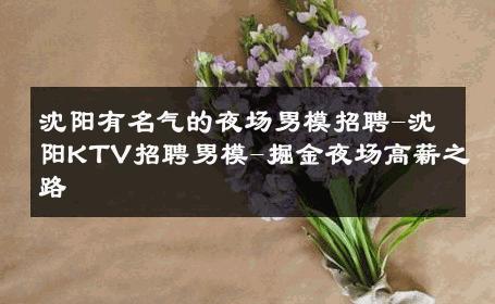 沈阳有名气的夜场男模招聘-沈阳KTV招聘男模-掘金夜场高薪之路 