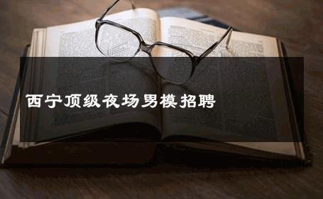 西宁顶级夜场男模招聘 