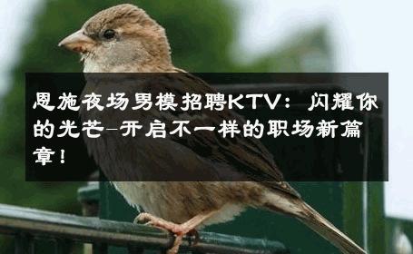恩施夜场男模招聘KTV：闪耀你的光芒-开启不一样的职场新篇章！ 
