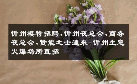 忻州模特招聘,忻州夜总会,商务夜总会,贤能之士速来-忻州生意火爆场所直招