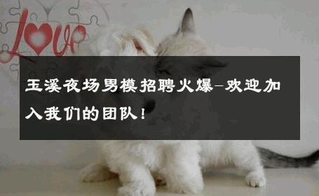 玉溪夜场男模招聘火爆-欢迎加入我们的团队！ 