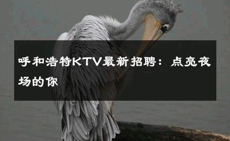 呼和浩特KTV最新招聘：点亮夜场的你 