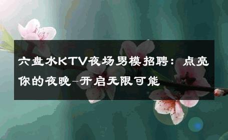六盘水KTV夜场男模招聘：点亮你的夜晚-开启无限可能 