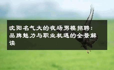 沈阳名气大的夜场男模招聘：品牌魅力与职业机遇的全景解读 
