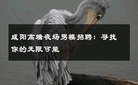 咸阳高端夜场男模招聘：寻找你的无限可能 