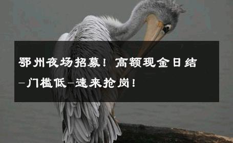 鄂州夜场招募！高额现金日结-门槛低-速来抢岗！ 