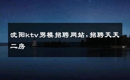 沈阳ktv男模招聘网站,招聘天天二房 