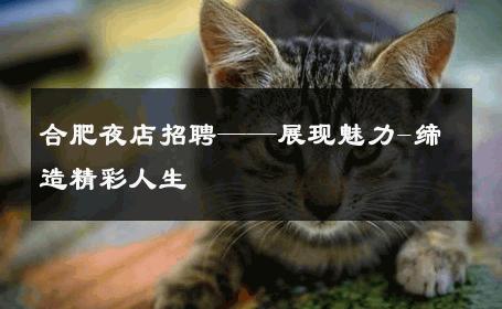合肥夜店招聘——展现魅力-缔造精彩人生 