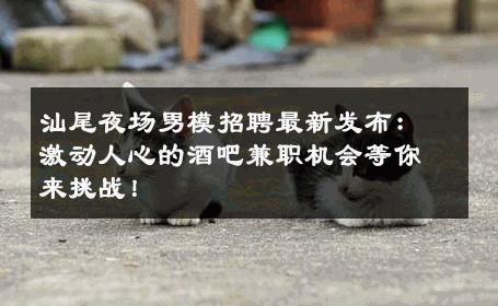 汕尾夜场男模招聘最新发布：激动人心的酒吧兼职机会等你来挑战！ 