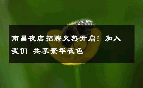 南昌夜店招聘火热开启！加入我们-共享繁华夜色 