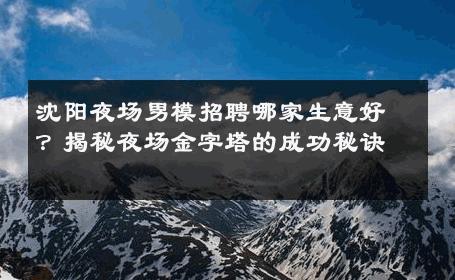 沈阳夜场男模招聘哪家生意好？揭秘夜场金字塔的成功秘诀 