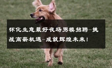 怀化生意最好夜场男模招聘-挑战高薪机遇-成就辉煌未来！ 