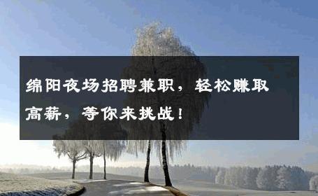 绵阳夜场招聘兼职，轻松赚取高薪，等你来挑战！