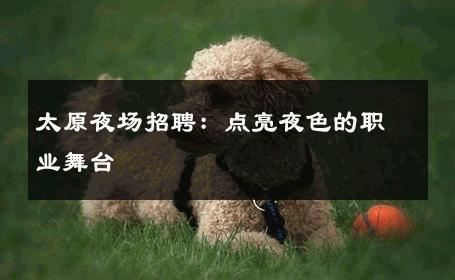 太原夜场招聘：点亮夜色的职业舞台 