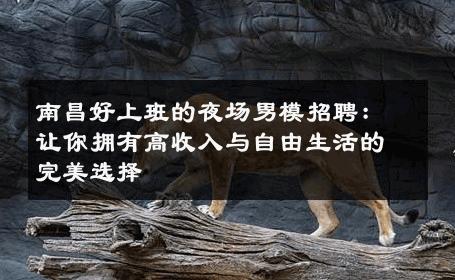 南昌好上班的夜场男模招聘：让你拥有高收入与自由生活的完美选择 