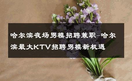哈尔滨夜场男模招聘兼职-哈尔滨最大KTV招聘男模新机遇 