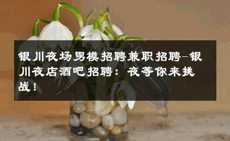 银川夜场男模招聘兼职招聘-银川夜店酒吧招聘：夜等你来挑战！ 