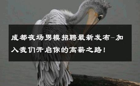 成都夜场男模招聘最新发布-加入我们开启你的高薪之路！ 