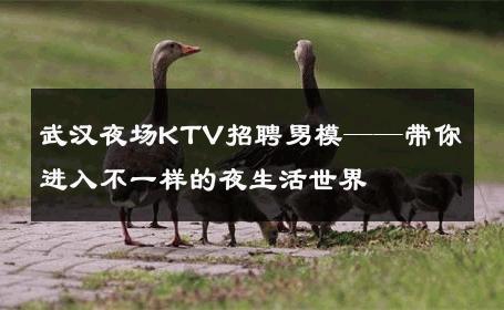 武汉夜场KTV招聘男模——带你进入不一样的夜生活世界 