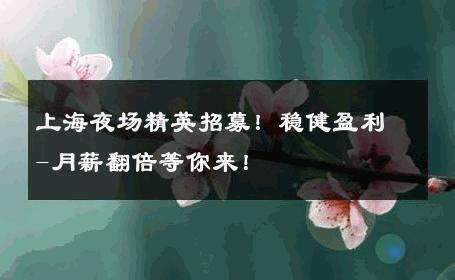 上海夜场精英招募！稳健盈利-月薪翻倍等你来！ 