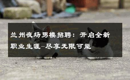 兰州夜场男模招聘：开启全新职业生涯-尽享无限可能 