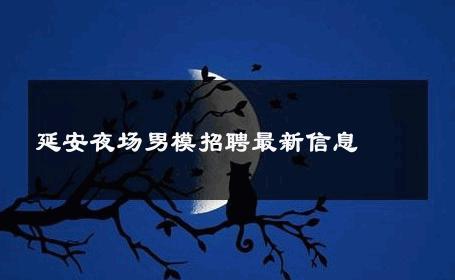 延安夜场男模招聘最新信息 