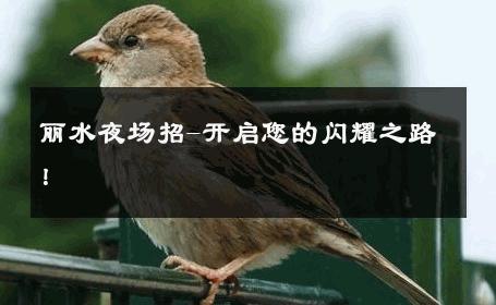 丽水夜场招-开启您的闪耀之路！ 