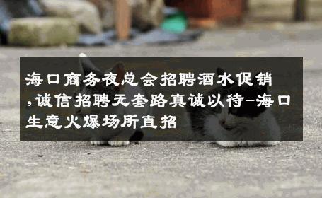 海口商务夜总会招聘酒水促销,诚信招聘无套路真诚以待-海口生意火爆场所直招