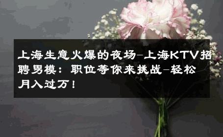 上海生意火爆的夜场-上海KTV招聘男模：职位等你来挑战-轻松月入过万！ 