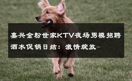 嘉兴金粉世家KTV夜场男模招聘酒水促销日结：激情绽放- 