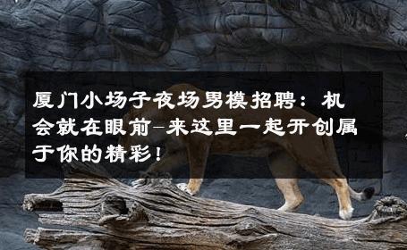 厦门小场子夜场男模招聘：机会就在眼前-来这里一起开创属于你的精彩！ 