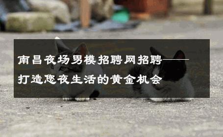 南昌夜场男模招聘网招聘——打造您夜生活的黄金机会 