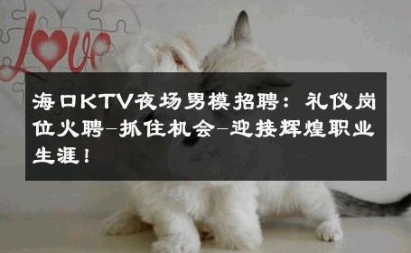 海口KTV夜场男模招聘：礼仪岗位火聘-抓住机会-迎接辉煌职业生涯！ 