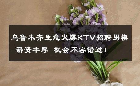 乌鲁木齐生意火爆KTV招聘男模-薪资丰厚-机会不容错过！ 