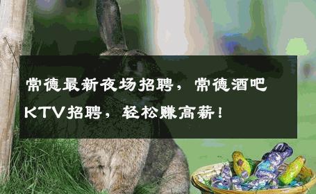 常德最新夜场招聘，常德酒吧KTV招聘，轻松赚高薪！